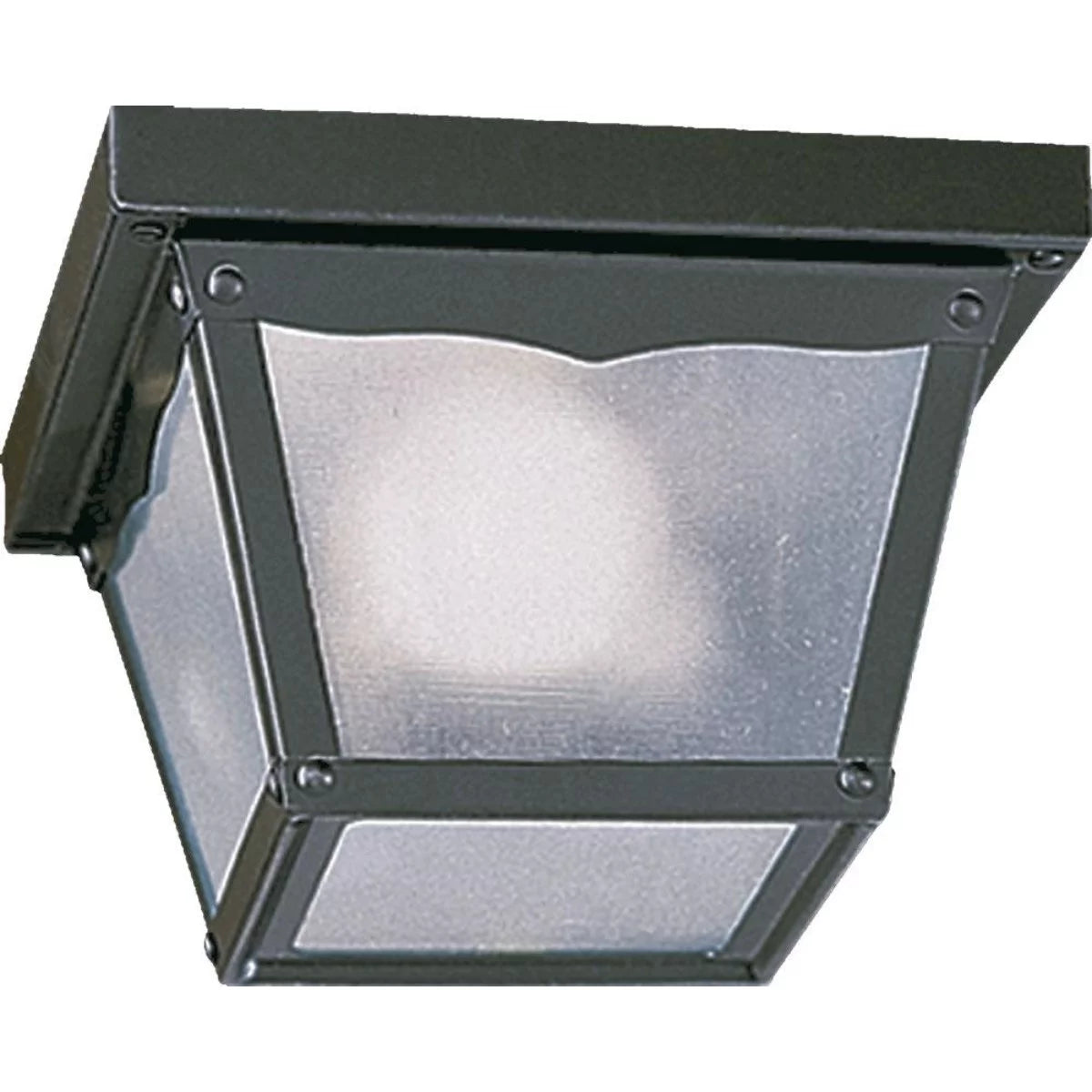 1 Light Outdoor Cage Flush Mount P615609