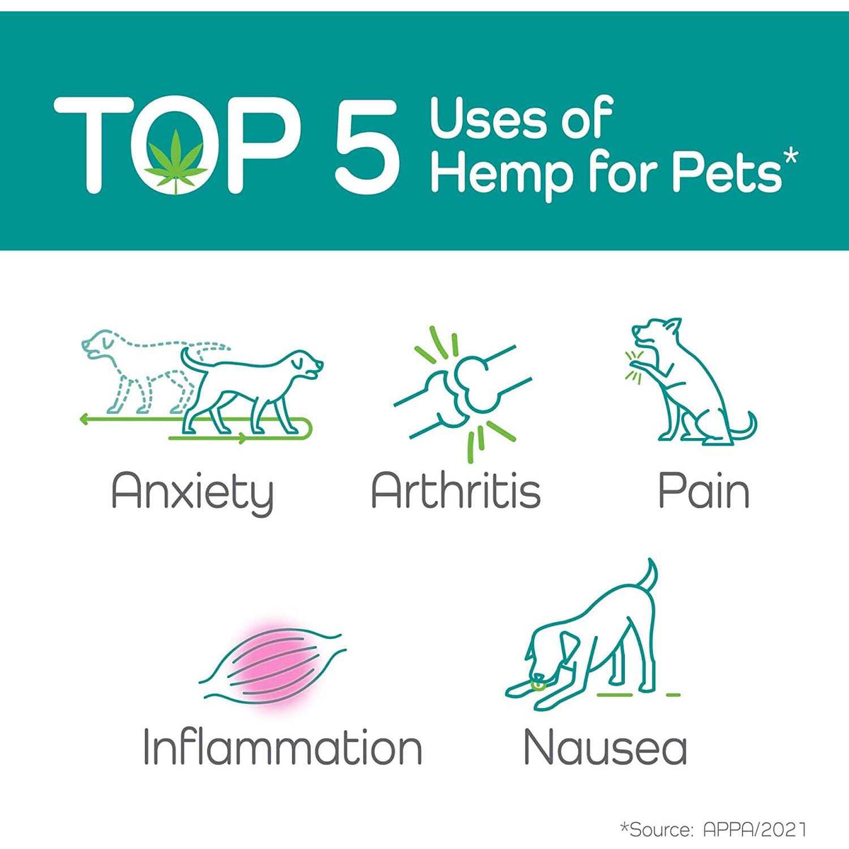 Hemp Helpers Collar for Dogs Q31643