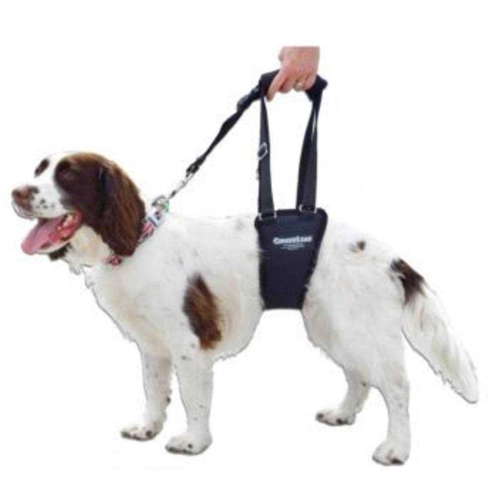 Dog Support Rehabilitation Harness D93552