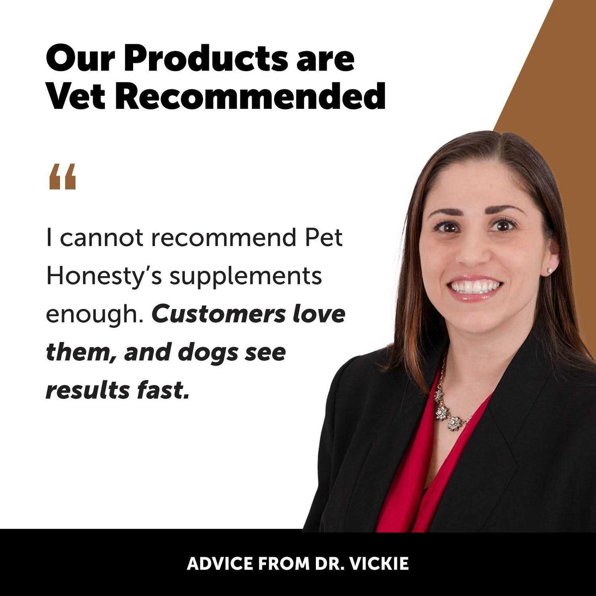 Flea & Tick Support Supplement Soft Chews for Dogs J8736