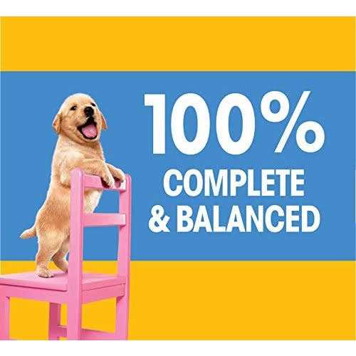 Chicken & Vegetable Dry Dog Food G392524