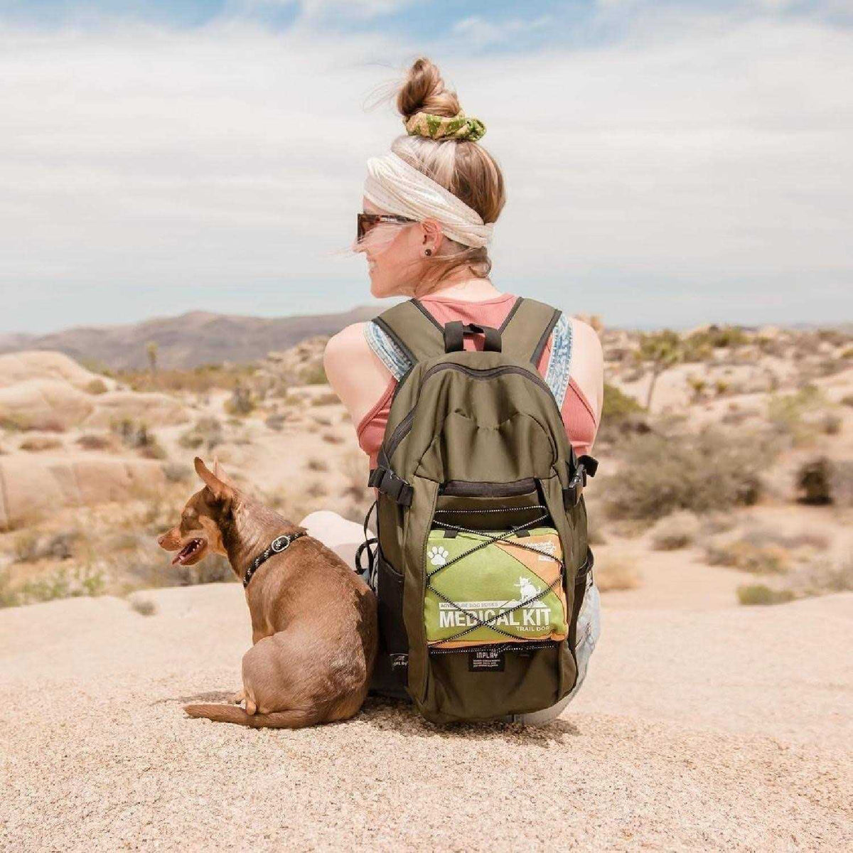Dog First Aid Kit R281