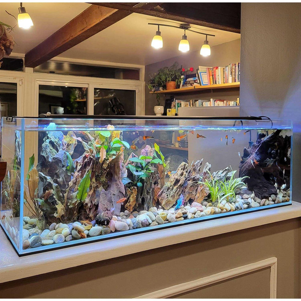 Crystal Bookshelf Aquarium F3298