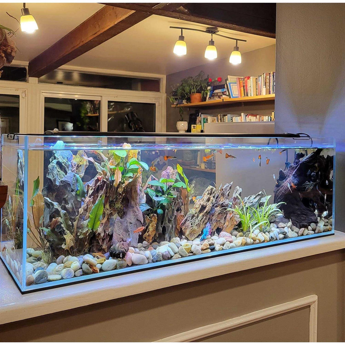 Crystal Bookshelf Aquarium F3298
