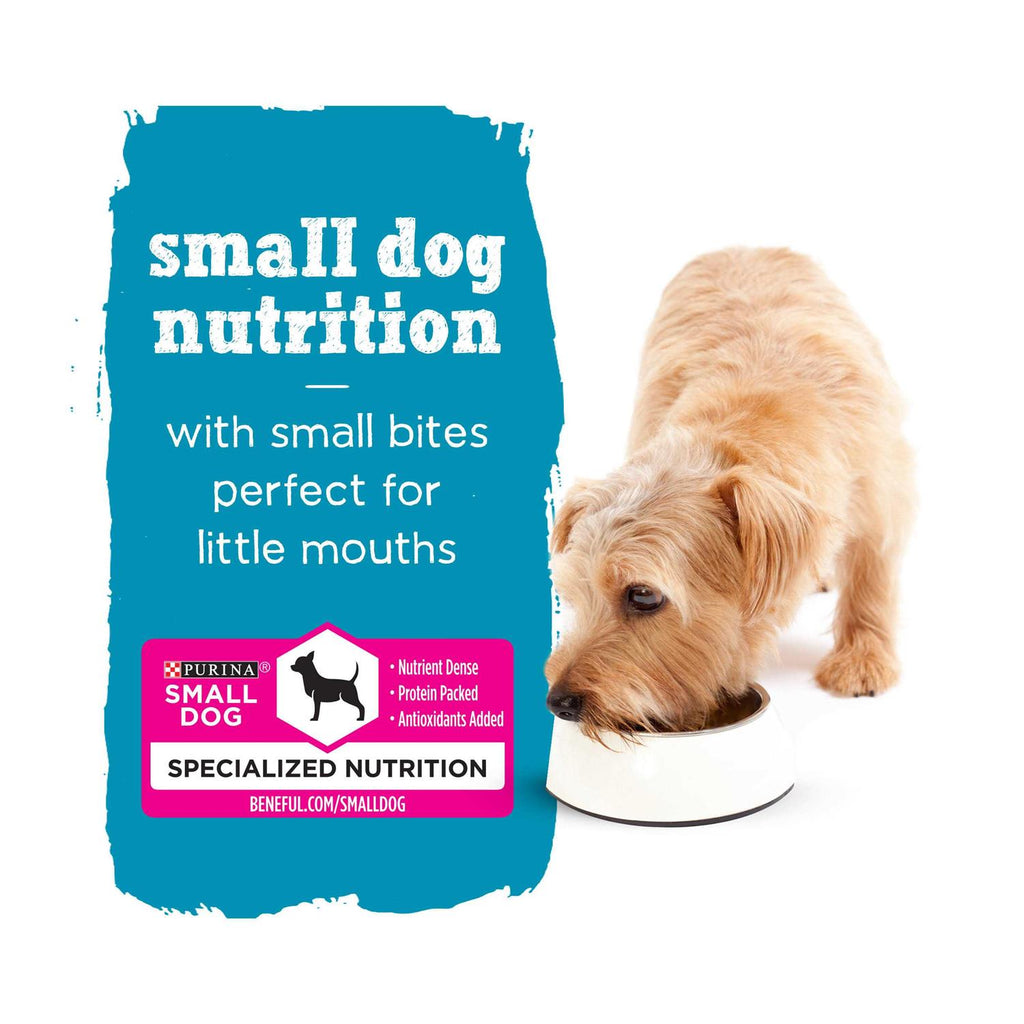 Small Breed Wet Dog Food Variety Pack C256