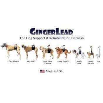 Dog Support Rehabilitation Harness D93552