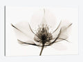 Canvas Wall Decor Prints R792403