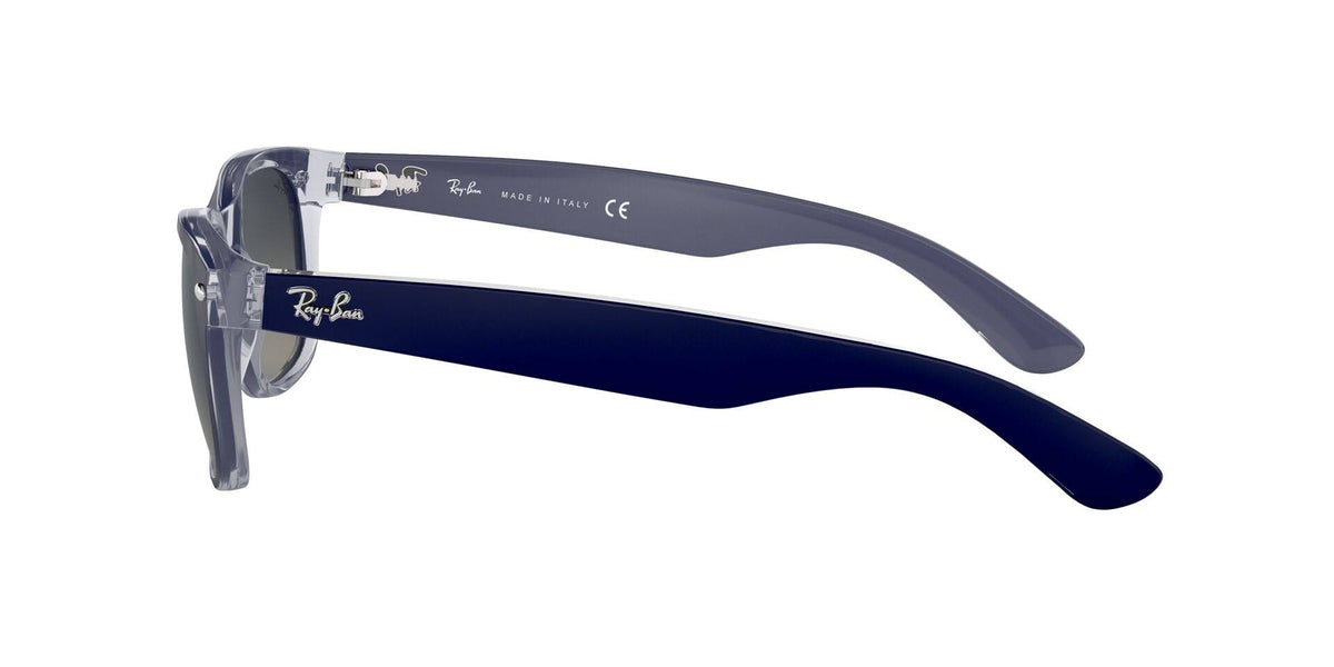 Matte Black Sunglasses F23804