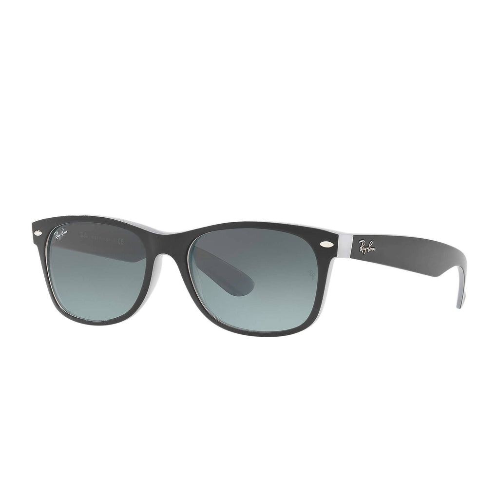 Matte Black Sunglasses F23804