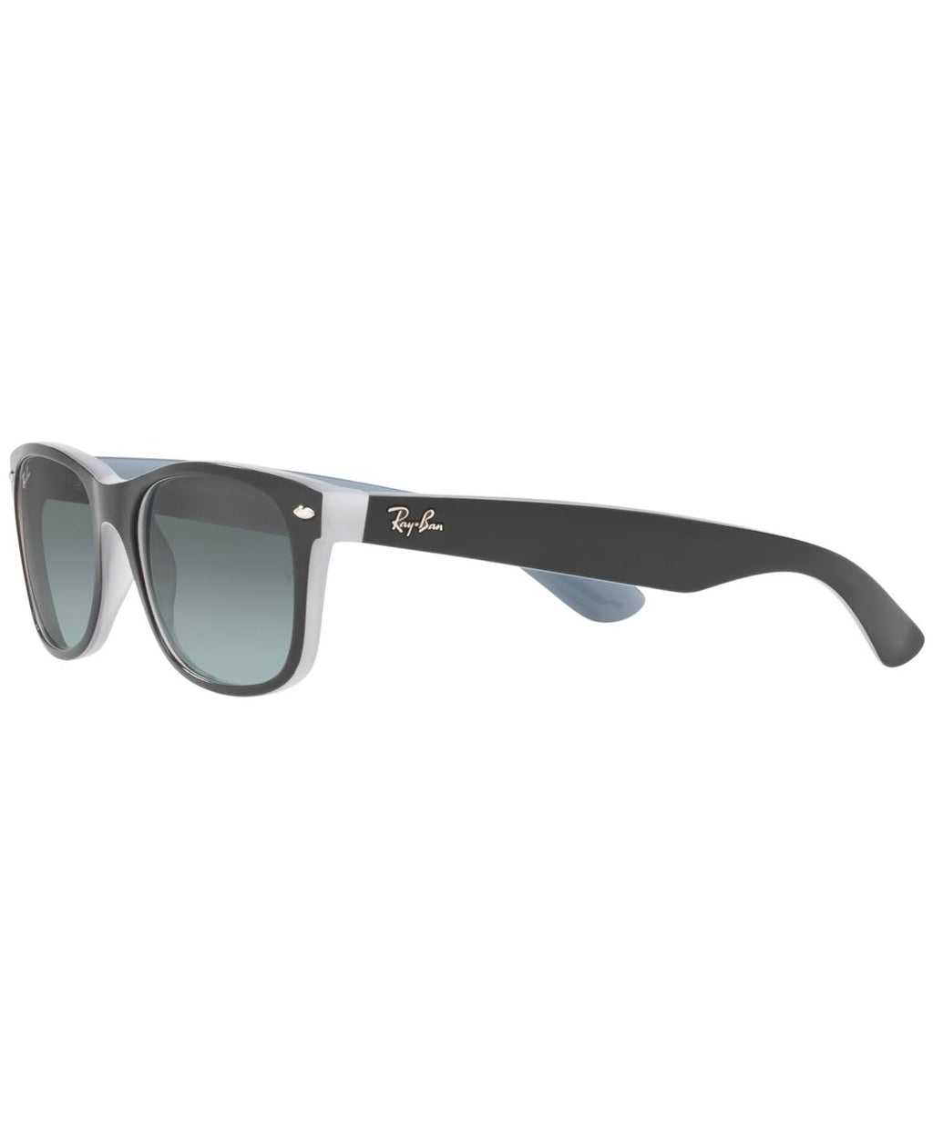 Matte Black Sunglasses F23804