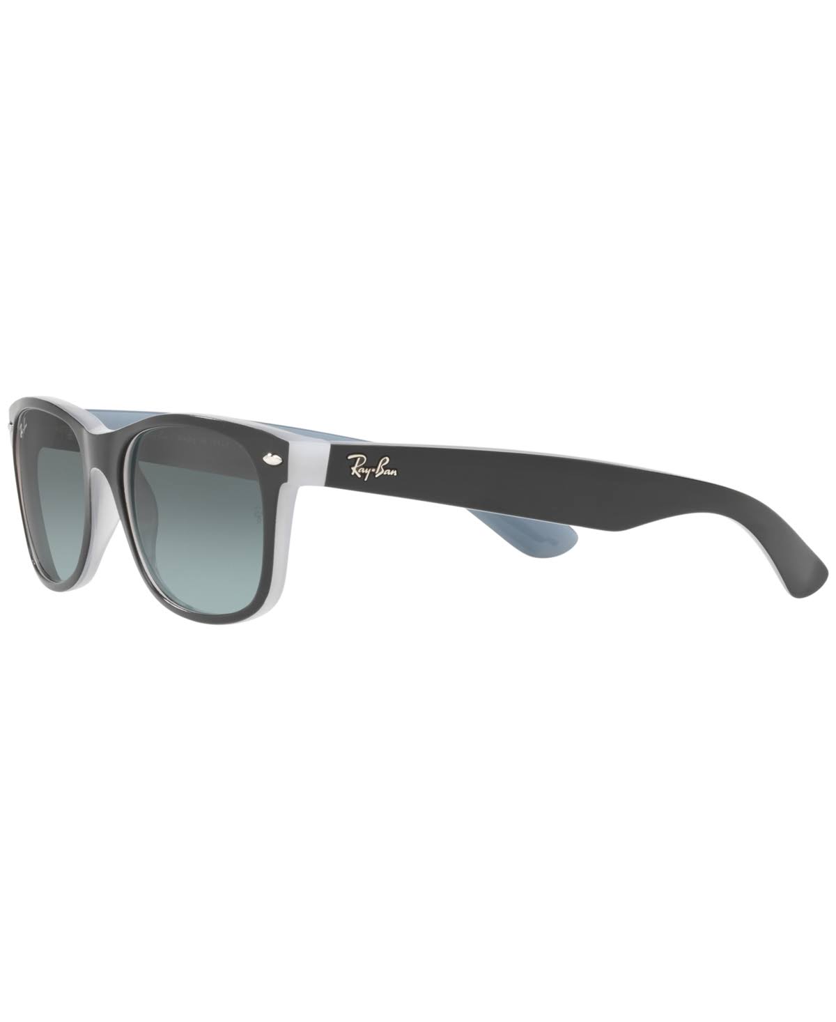 Matte Black Sunglasses F23804