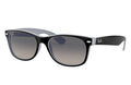 Matte Black Sunglasses F23804