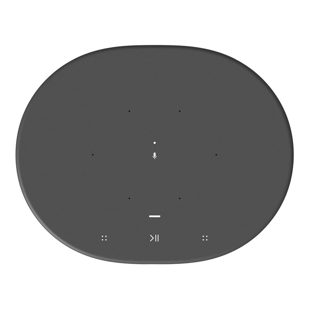 Portable Battery-Powered Bluetooth Wi-Fi Speaker Z8049