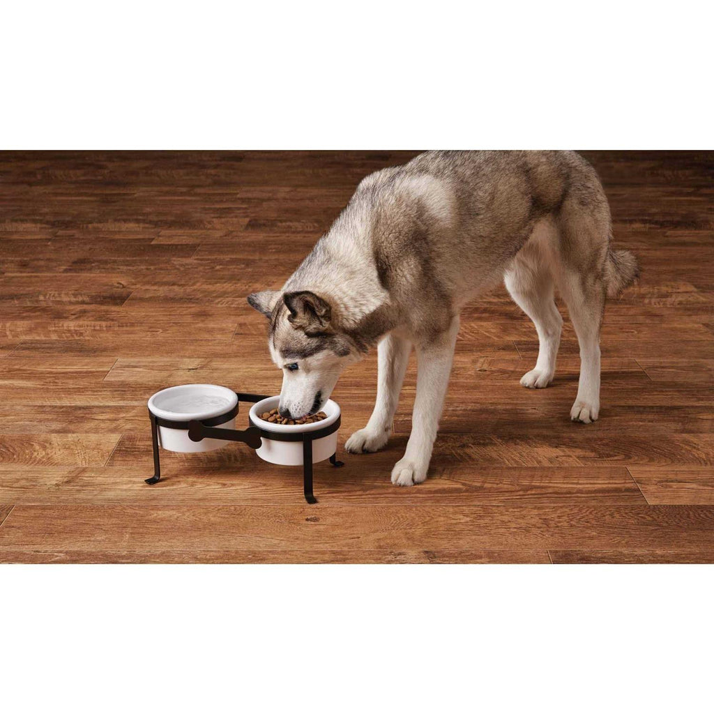 Iron Double Diner with Ceramic Dog Bowls U27902