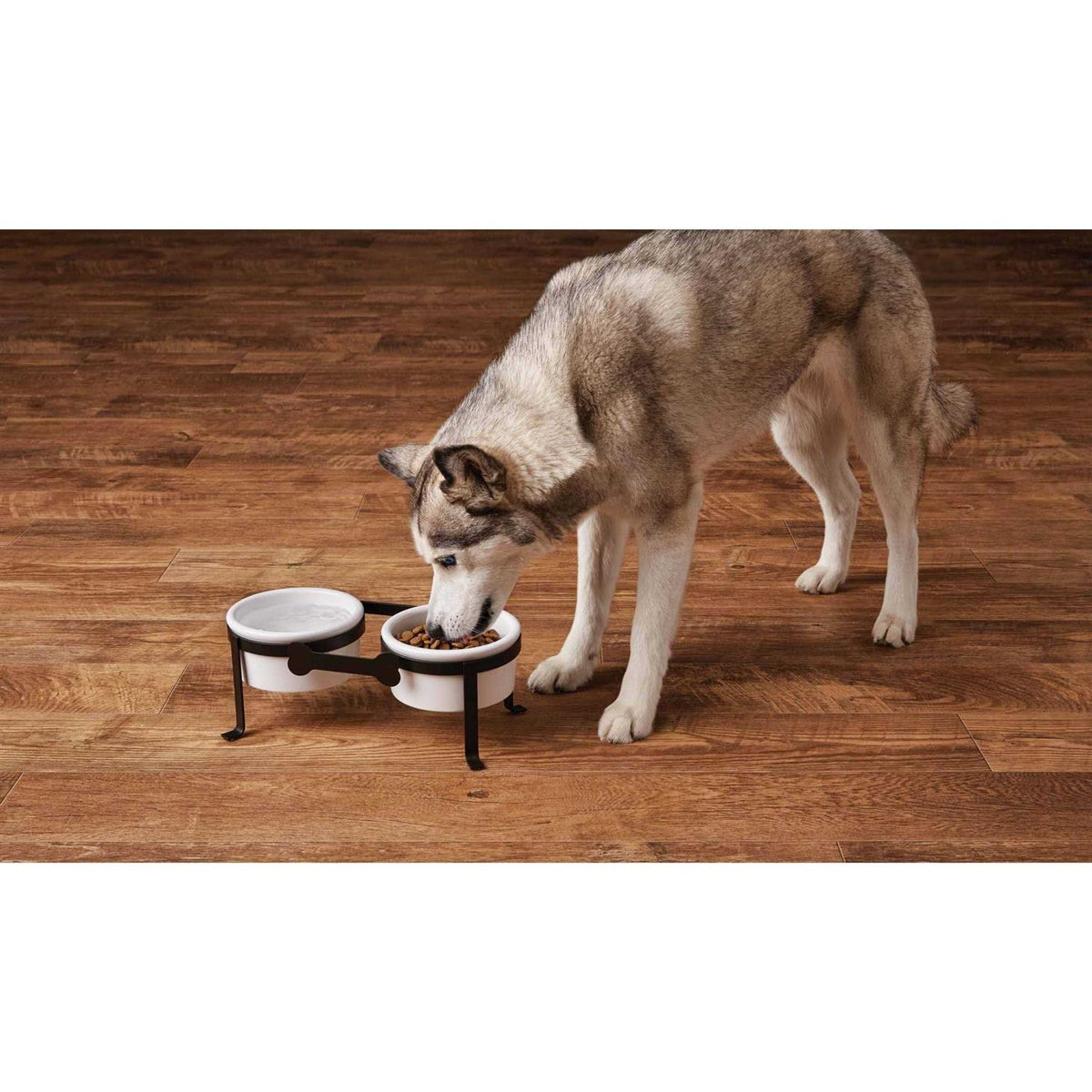 Iron Double Diner with Ceramic Dog Bowls U27902