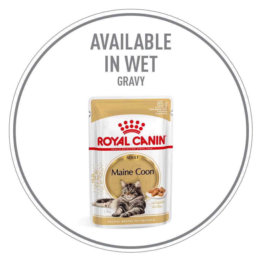 Maine Coon Dry Cat Food G5481