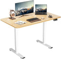 Electric Adjustable Standing Desk 55 x 24 with Memory Preset C174953