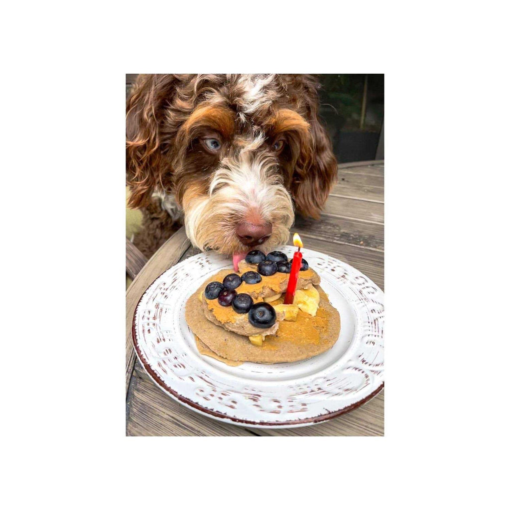 Pooch Pancakes Pet Supplies D72150