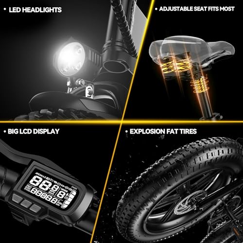 1000W Folding Electric Bike 48V 20.8AH Removable Battery 20" Fat Tire F3031