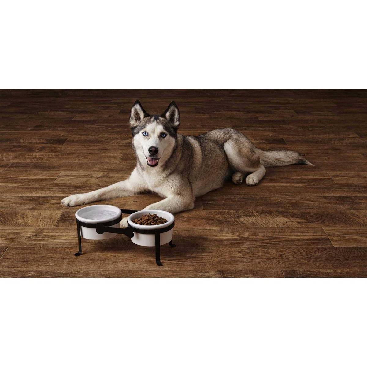 Iron Double Diner with Ceramic Dog Bowls U27902