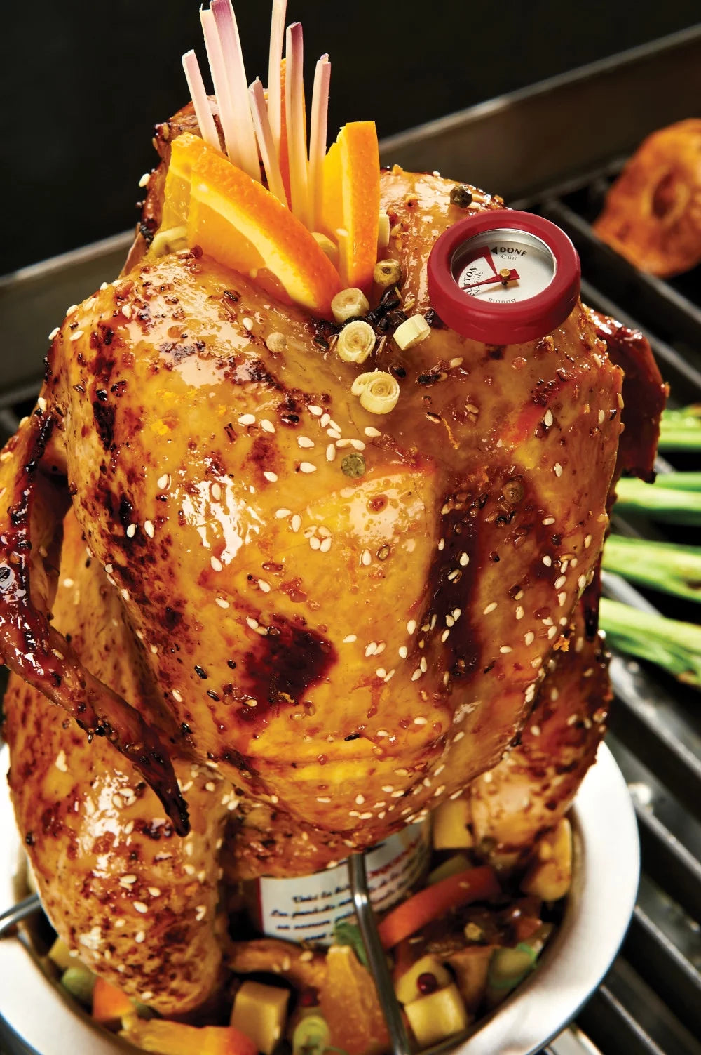 Stainless Steel Chicken Roaster P4301