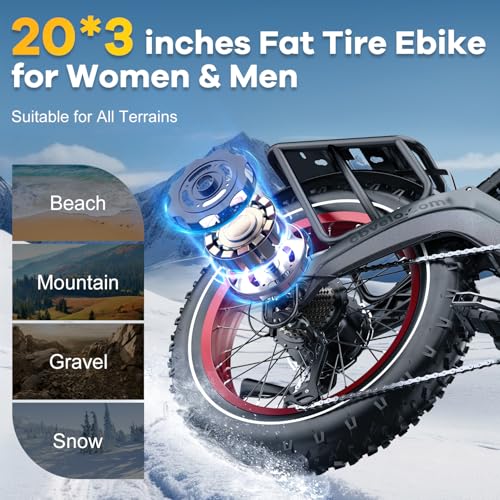 1000W Folding Electric Bike 48V 20.8AH Removable Battery 20" Fat Tire F3031