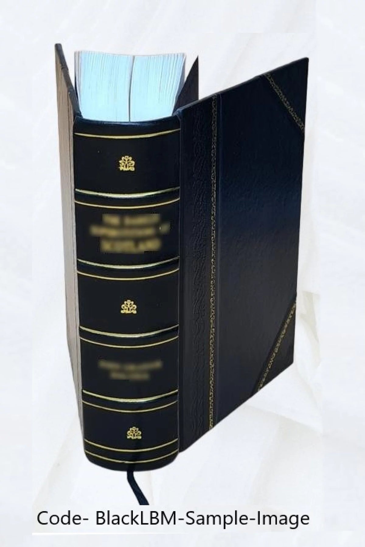 Public Lands Cases Leather Bound V4897
