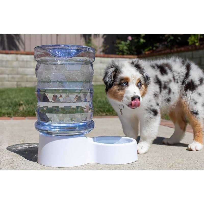 2.5 Gallon Pet Water Dispenser V345370