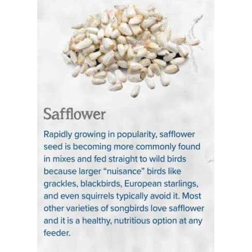 Safflower Bird Seed X92590