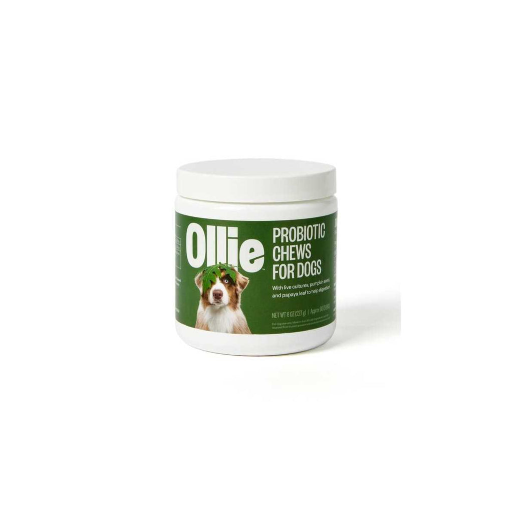 Probiotic Chews Dog Supplements D640819