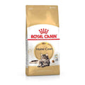 Maine Coon Dry Cat Food G5481