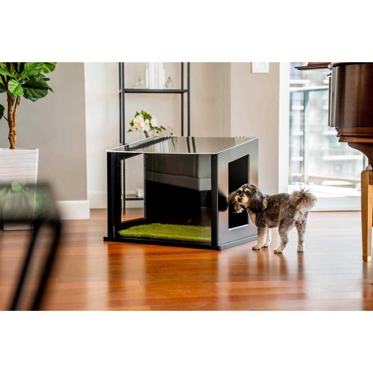 Dog or Cat Potty Y329