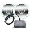 Bluetooth Amplifier Package with 2-Channel Speakers X753