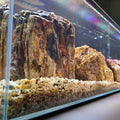 Crystal Bookshelf Aquarium F3298