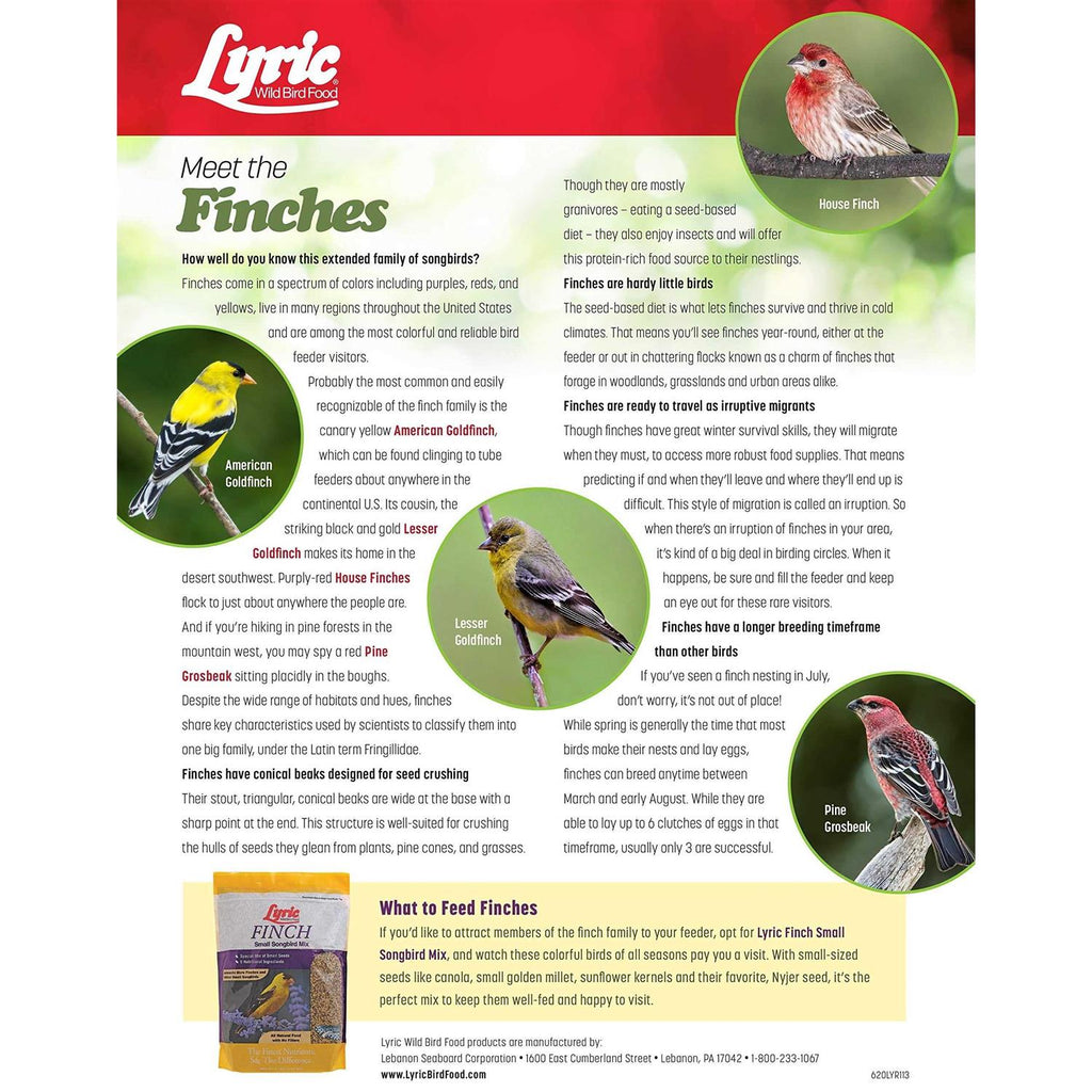 Small Songbird Wild Bird Food R5397
