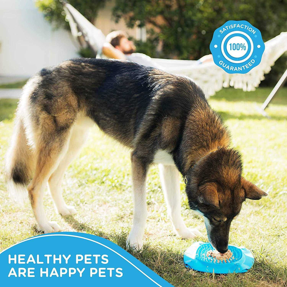Slow Treater XL Pet Supplies P241737