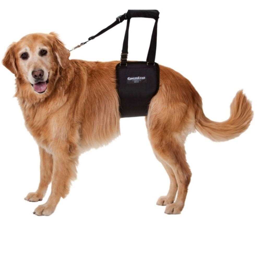 Dog Support Rehabilitation Harness D93552