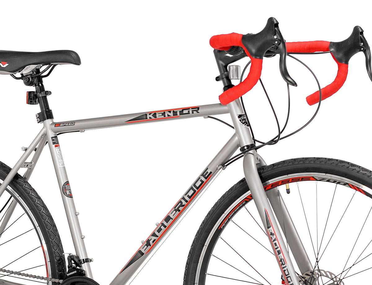 700c Gravel Bike P555855