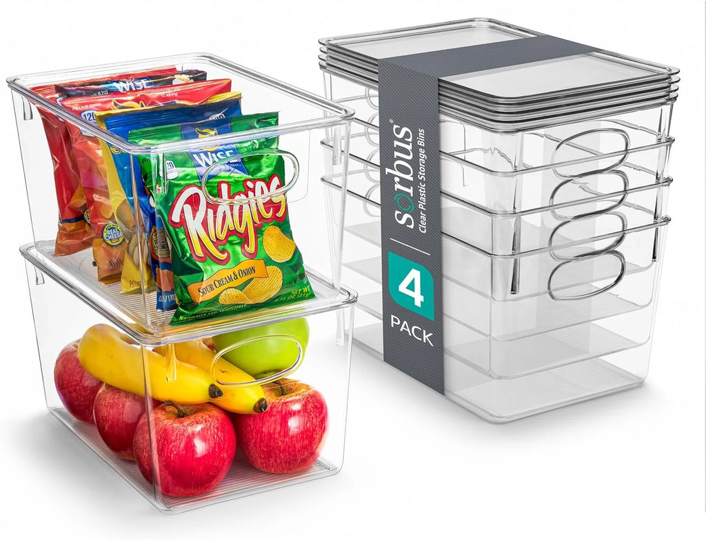 Set of 4 Clear Plastic Storage Bins with Lids R199955