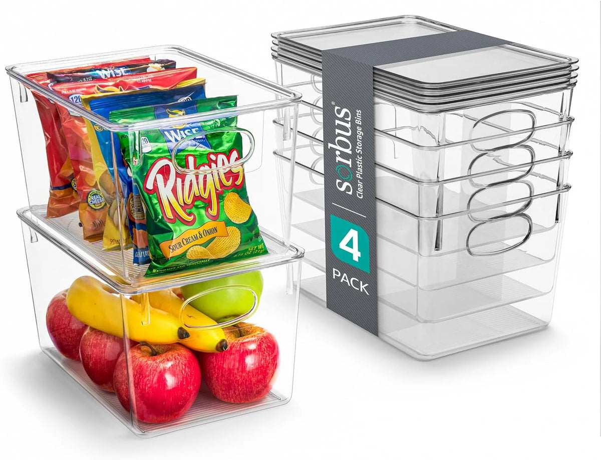 Set of 4 Clear Plastic Storage Bins with Lids R199955